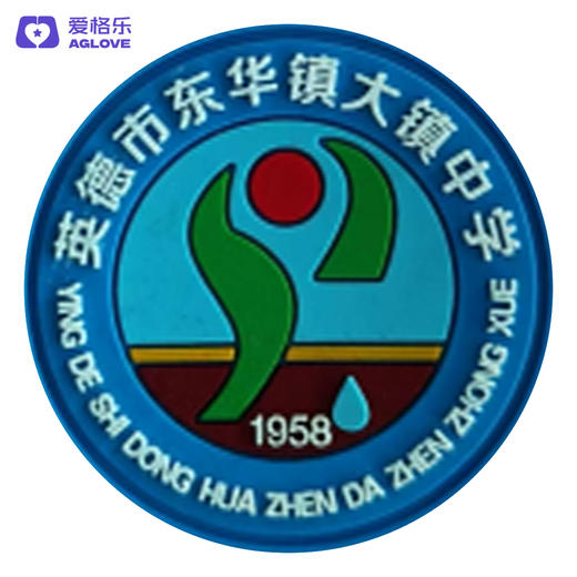 东华大镇中学（夏 ） 商品图0