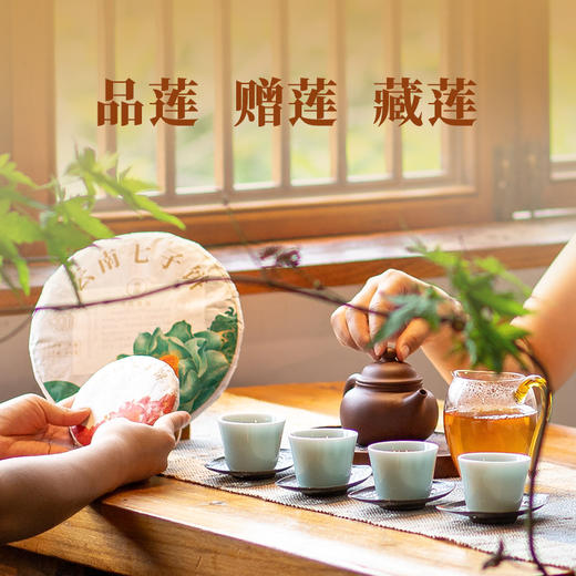 双陈普洱2025年莲饼（纪念版）熟茶金莲绽放初心可鉴 商品图4