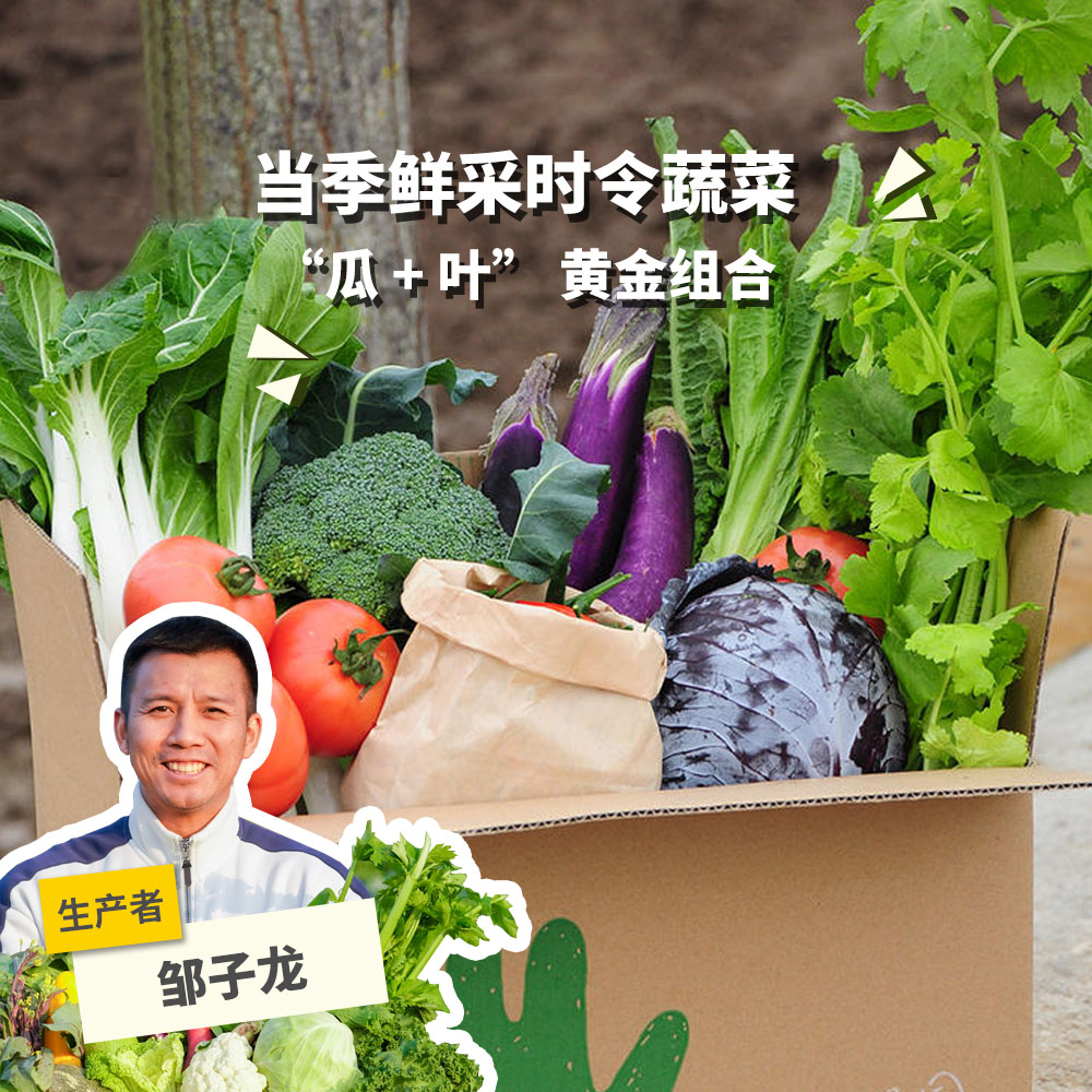 生态蔬菜箱（瓜叶搭，6-11种蔬菜）  | 绿家自产* Ecological Vegetable Box | Self-production
