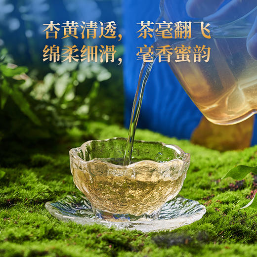 自营（峻山野）-揽月·有机银针80g/盒 商品图3