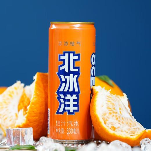 北冰洋桔汁拉罐汽水 碳酸饮料 330ml/瓶 商品图0