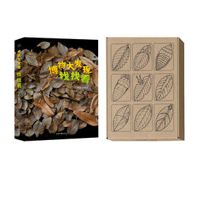 《博物大发现：找找看》普通版、礼盒版