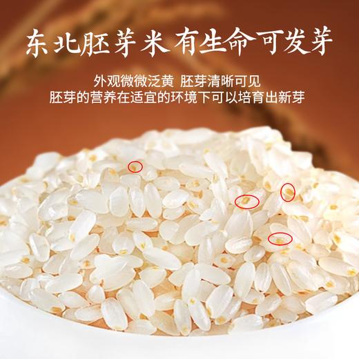 🌾全新升级【东铁村 东北大米胚芽米】鲜活胚芽米，留胚率提升至90%✅ 多重锁鲜.当季新粮.接单鲜磨.真空包装.胚芽活力不流失 商品图1