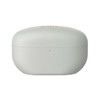 索尼（SONY）WF-1000XM5【政府补贴】真无线蓝牙降噪耳机 新一代降噪豆智能AI蓝牙5.3 铂金银 出游搭子 礼物 /数码 /影音娱乐 /蓝牙/无线耳机 商品缩略图2