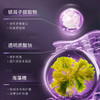 【祝绪丹同款】片仔癀净妍亮白精华液| 补水保湿透亮护肤滋润敏感肌 商品缩略图4