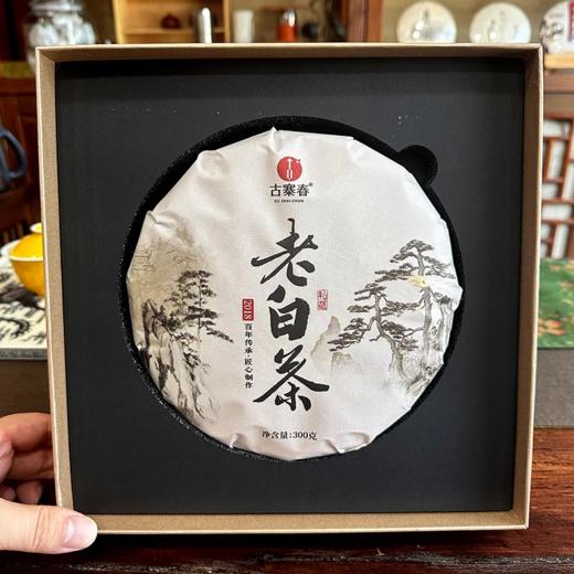 【老白茶】古寨春福鼎白茶破价清仓，本款福鼎白茶属于寿眉里的 最高等级！纯日晒纯福鼎白茶，懂行的一喝就懂，300克/饼 商品图0