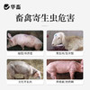 【社群专享】阿苯达唑伊维菌素 体内外驱虫药 鸡牛羊猪药 商品缩略图1