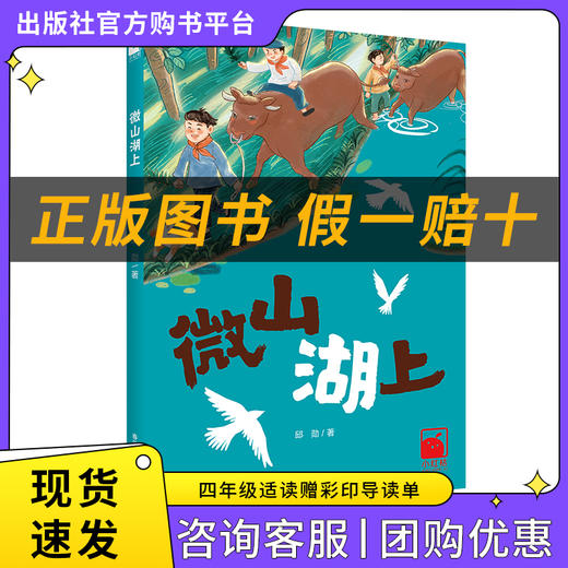 微山湖上小红桔丛书邱勋著春风文艺出版社 商品图0