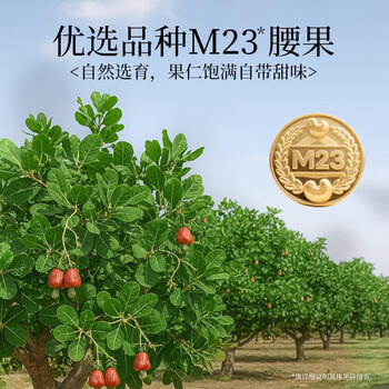 新农哥A160大颗粒紫皮腰果500g罐装盐焗原味孕妇休闲零食每日坚果健康 /休闲食品 /坚果炒货 /腰果 商品图1