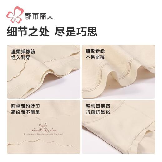 都市丽人女士内裤100支棉内裤女士平角内裤女内裤纯棉内裤LKH5U6 商品图7
