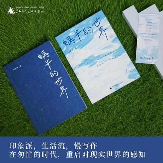 蜗牛的世界  刘翠婵/著  刘翠婵  蜗牛  岛屿   南方  广西师范大学出版社 商品图2