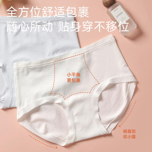 60支全棉抗菌内裤（中腰） 商品图4