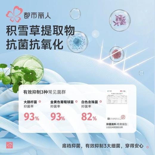 都市丽人女士内裤100支棉内裤女士平角内裤女内裤纯棉内裤LKH4B7 商品图4