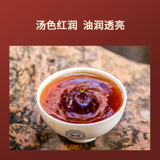 双陈普洱2025年阳光大叶普洱熟茶单泡礼盒装（2008原料）128克 商品图6