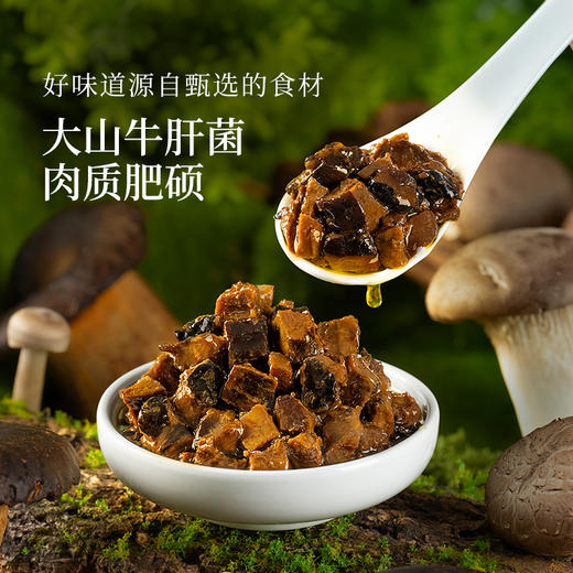 璞匠 牛肝菌山珍酱拌饭拌面蘑菇酱下饭菜夹馍菌菇炒饭酱料做汤 商品图2