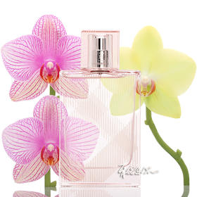 保税仓 BURBERRY博柏利 红粉恋歌女士淡香水 30 50 100ml