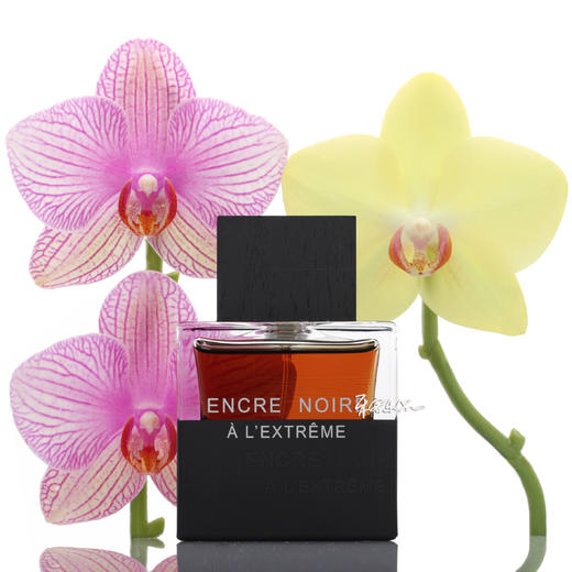 保税仓  莱俪 墨恋男士香水 运动版 馥郁版 Lalique Encre Noire 100ml 商品图3
