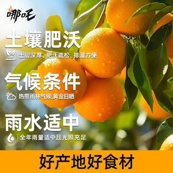 哪吒100%橙汁200ml*12盒0添加纯鲜榨果汁节日送礼盒维生素c火锅饮料品 /水饮冲调 /饮料 /果蔬汁/饮料 商品图5