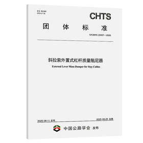斜拉索外置式杠杆质量阻尼器（T/CHTS 20057—2025）