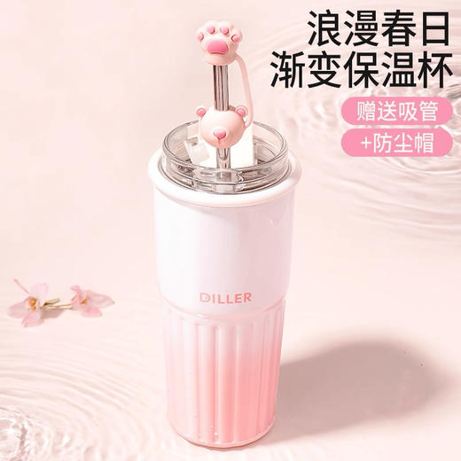 迪乐贝尔MLH9205樱花熊猫保温杯500ml 商品图3