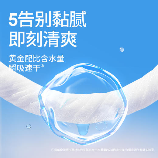 无染草本精粹桃叶款湿厕纸6包 商品图4