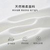 夏季薄款无痕短袖T恤上衣女时尚斜肩一字露肩气质百搭修身显瘦TX0018露肩T恤 商品缩略图5