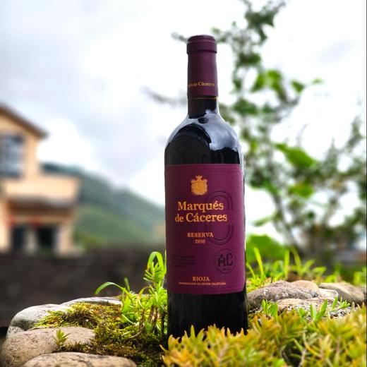 【MC卡塞里侯爵】珍藏陈酿干红葡萄酒 二度入围全球百大酒款 全球最受推崇的50大葡萄酒品牌之一 西班牙原瓶进口 DOCa 20个月法国橡木桶陈酿 24个月瓶内陈化 宴请与送礼品质之选 年份随机发货 商品图6