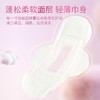 LILYGIRL-绵柔日用组合卫生巾290MM5片*10盒+330MM6片*10盒【有效期至2026年2月】 商品缩略图4