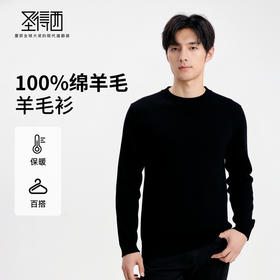 【100%绵羊毛】圣得西男士亲肤薄羊毛衫2025秋休闲百搭圆领毛衣