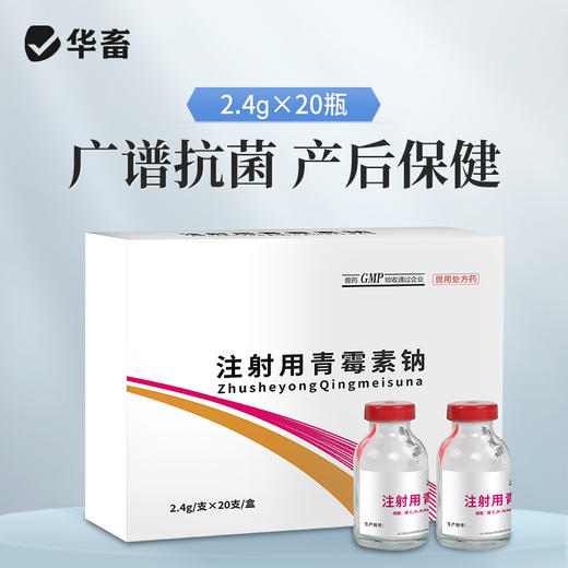 【社群专享】华畜兽药 400万注射用青霉素钠2.4g*20支 抗菌消炎 广谱药 商品图0