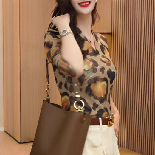 春季高端网纱时尚洋气显瘦豹纹V领打底衫女2025新款设计感修身T恤 商品图2