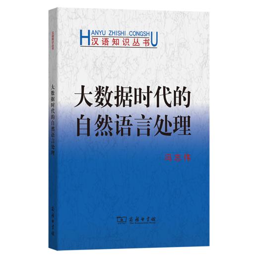 大数据时代的自然语言处理 商品图0