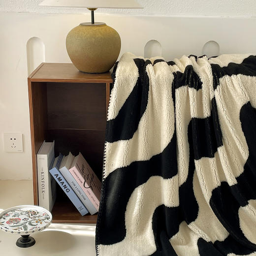 【品牌直发】加倍生活双面印花舒棉绒毛毯 新款多功能盖毯 沙发毯跨境毛毯 商品图5