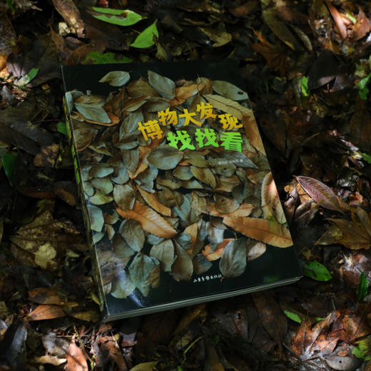 《博物大发现：找找看》普通版、礼盒版 商品图8