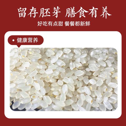 🌾全新升级【东铁村 东北大米胚芽米】鲜活胚芽米，留胚率提升至90%✅ 多重锁鲜.当季新粮.接单鲜磨.真空包装.胚芽活力不流失 商品图4