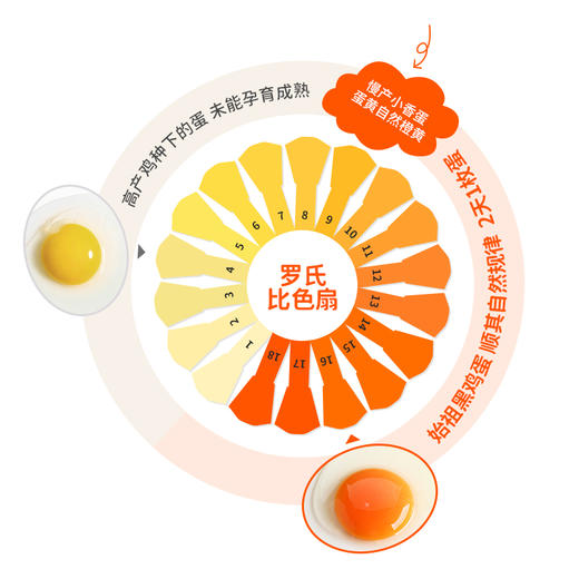 【上门自提】好念头|可生食鸡蛋|60枚 商品图4