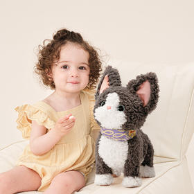 这只不会掉毛的“喵星人”，成了我家的新成员！它会背诗、会唱歌、还会学宝宝说话…