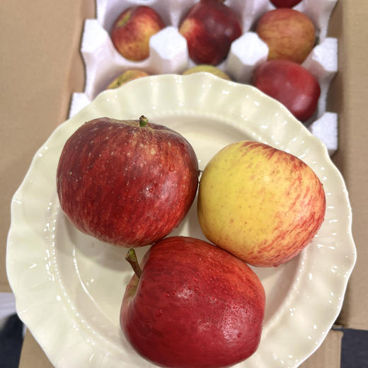 【苹果盲盒】顺丰包邮 多种苹果组合 随机发货 带来不一样的口感体验 3.5-4斤装 商品图3