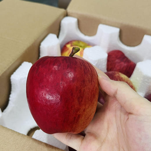 【苹果盲盒】顺丰包邮 多种苹果组合 随机发货 带来不一样的口感体验 3.5-4斤装 商品图9