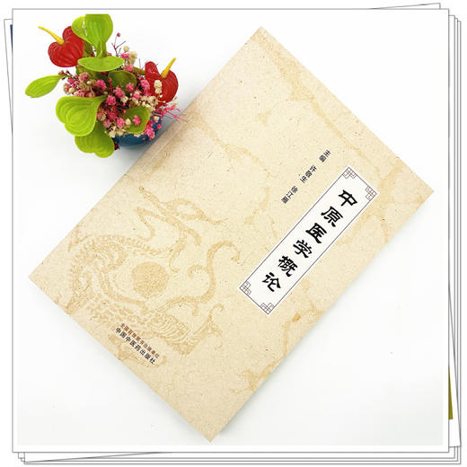 中原医学概论 许敬生 徐江雁 主编 中国中医药出版社 中医临床 书籍 商品图1