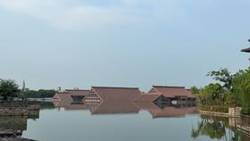 WeCycle大宁8/14小布广富林骑游