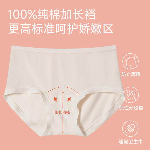 60支全棉抗菌内裤（中腰） 商品图1