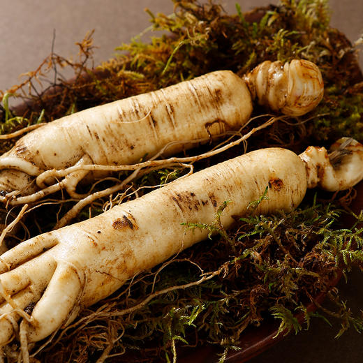 【杞里香西洋参片（0.6-0.8cm）、 (1.0-1.2cm)、(1.4-1.6cm）50g】5年黄金参龄，皂甙含量更高 商品图9