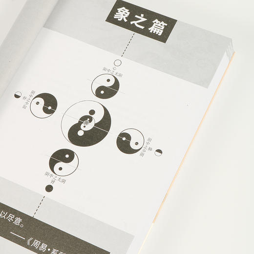 潘毅丨《寻回中医失落的元神》套装 商品图4