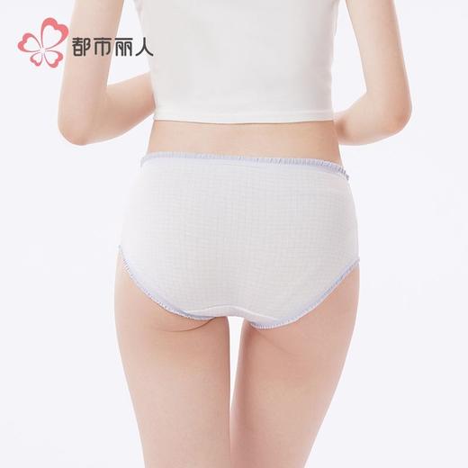 都市丽人内裤40支棉内裤女士平角内裤女内裤纯棉内裤LKH5S5 商品图4