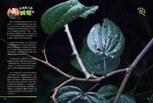 《博物大发现：找找看》普通版、礼盒版 商品图4