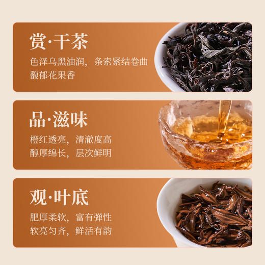 自营（峻山野）-天耀·峻山红魁35g/罐 商品图1