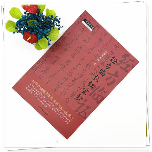 经方临证红宝书 马家驹 高峰 著 中国中医药出版社 中医师承学堂 伤寒论 金匮要略 经方临证 六经八纲解方证 临床入门书籍 商品图1