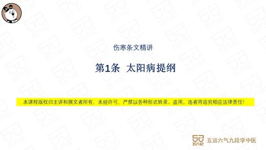 伤寒第1条：太阳病提纲 商品图0
