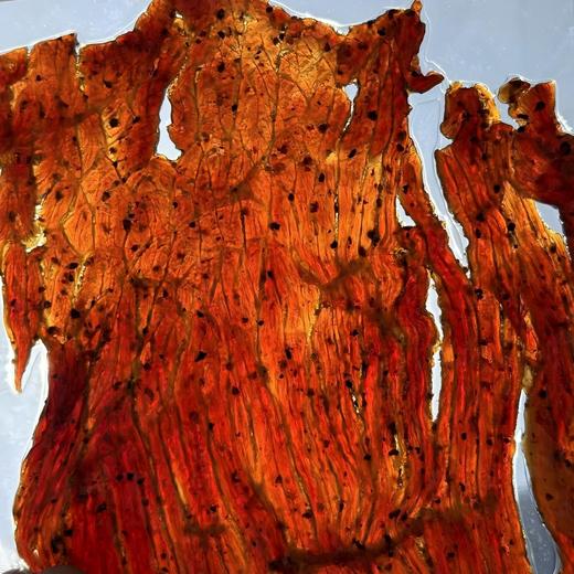 伊味典 牛肉脯 100g/袋（3种口味） 商品图2